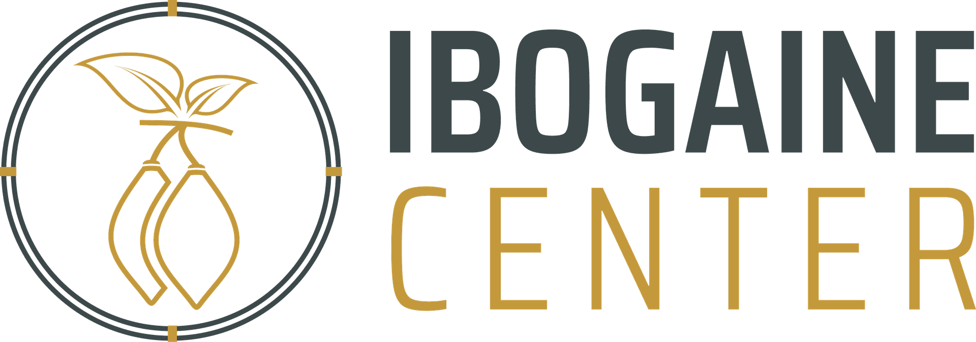Ibogaine Center